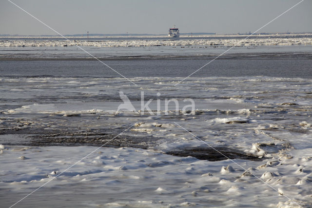 Waddenzee