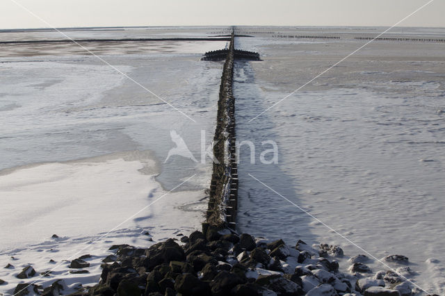 Waddenzee