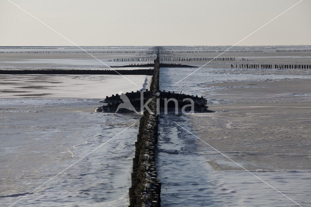 Waddenzee