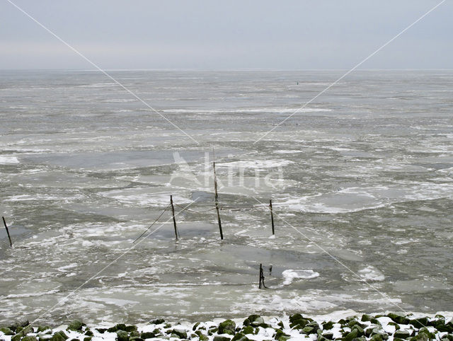 Waddensea