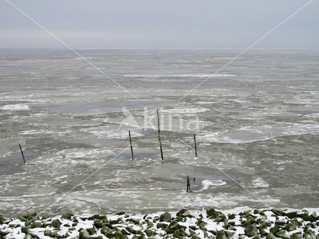 Waddensea