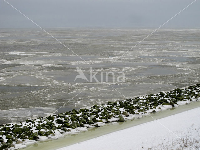 Waddensea