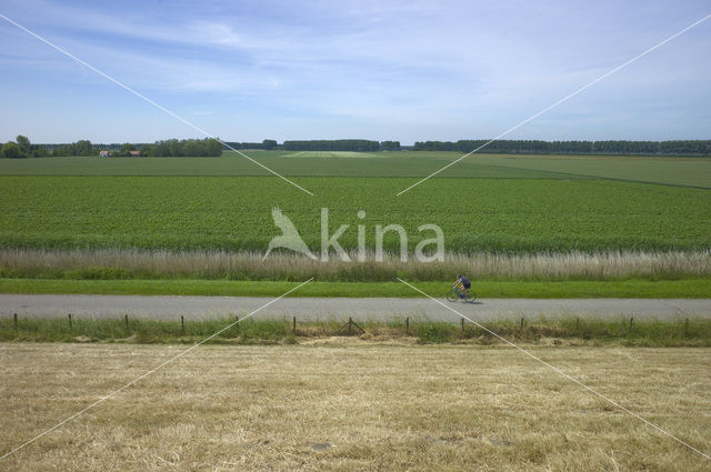 Zeeuws-Vlaanderen