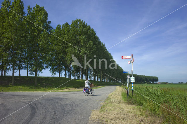 Zeelandic Flanders