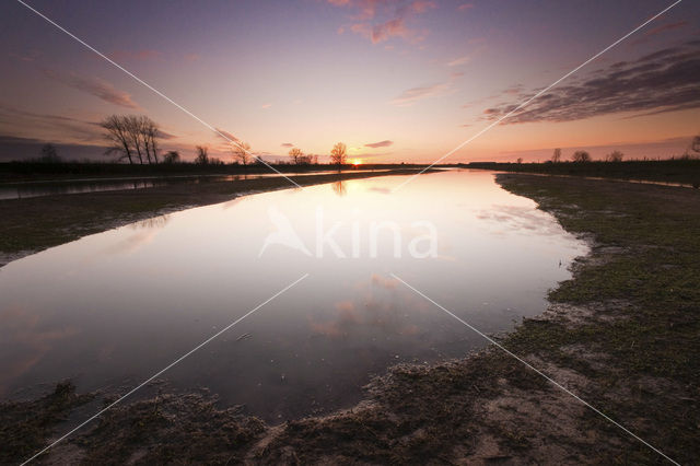 Alblasserwaard en Vijfheerenlanden