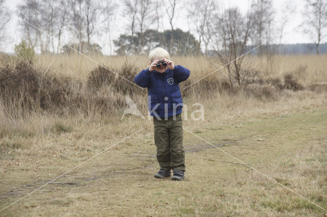 Boswachterij Leende