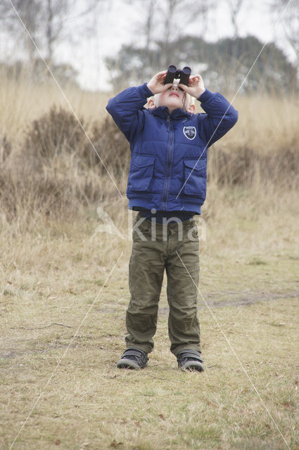 Boswachterij Leende