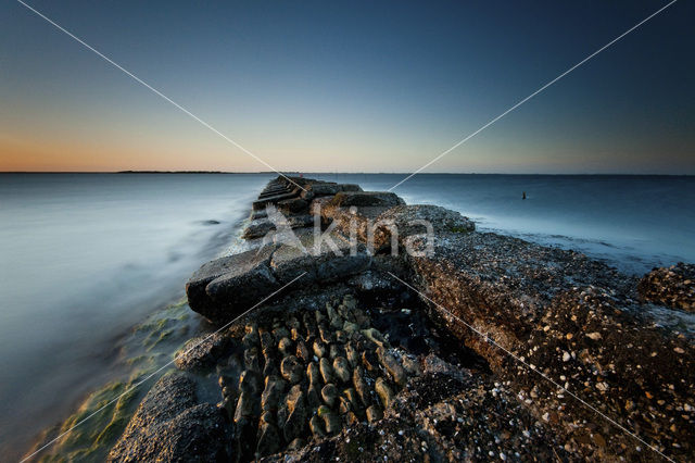 Grevelingenmeer