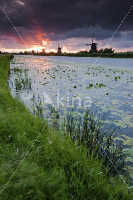 Kinderdijk