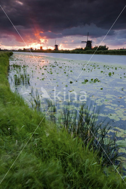 Kinderdijk