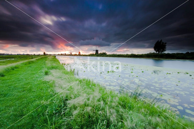 Kinderdijk