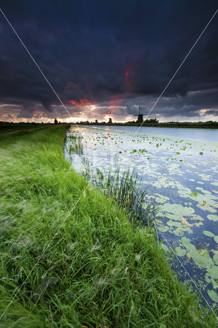 Kinderdijk