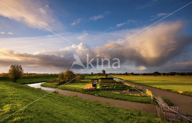 Kinderdijk