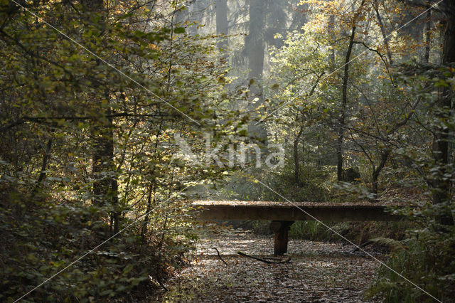 Landgoed Dorth