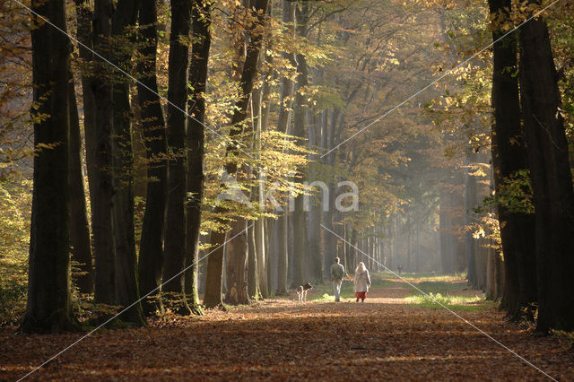 Landgoed Velhorst