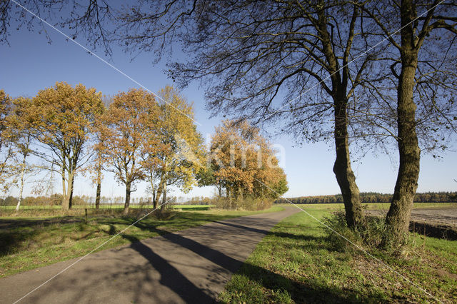 Nationaal beek- en esdorpenlandschap Drentsche Aa