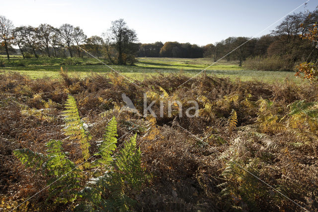 Nationaal beek- en esdorpenlandschap Drentsche Aa