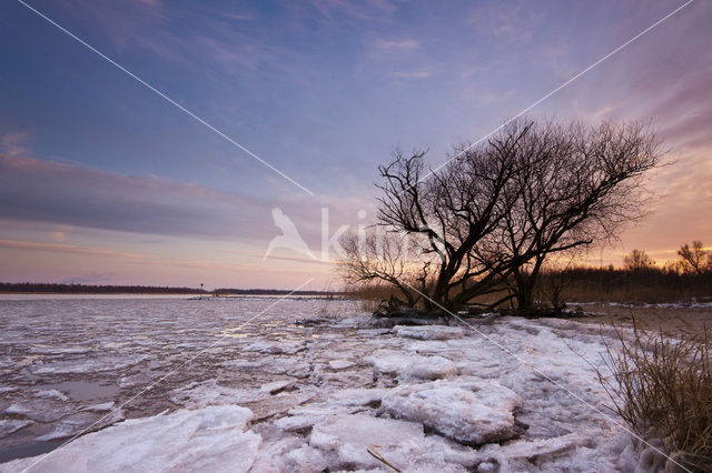 Nationaal Park de Biesbosch