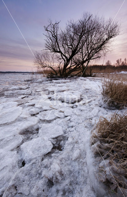 National Park de Biesbosch