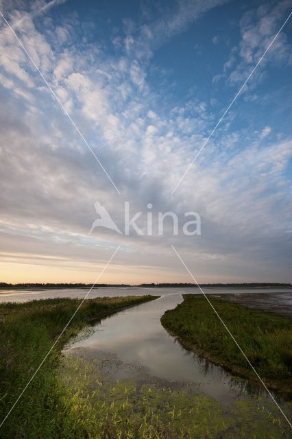 Nationaal Park de Biesbosch