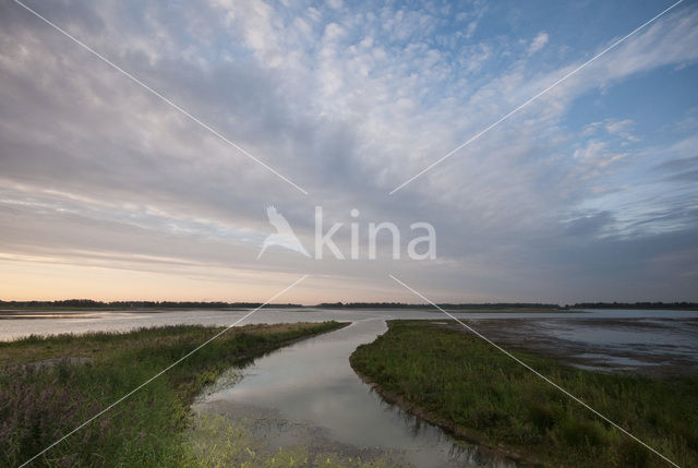 Nationaal Park de Biesbosch