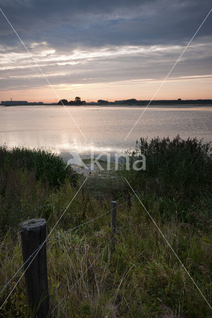 Nationaal Park de Biesbosch