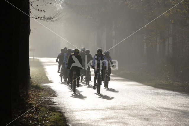 National Park Drents-Friese Wold