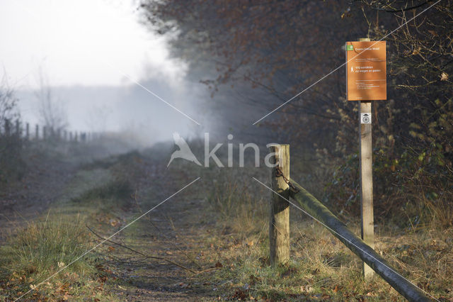 Nationaal Park Drents-Friese Wold