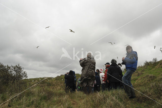 Nationaal Park Duinen van Texel