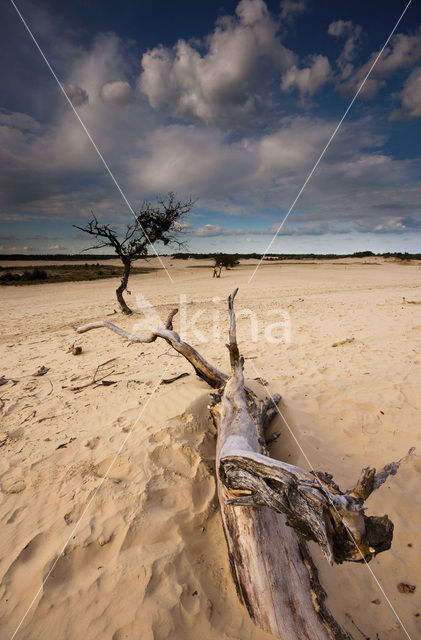 Nationaal Park Loonse en Drunense Duinen