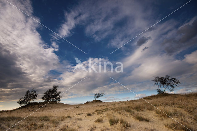 Nationaal Park Loonse en Drunense Duinen