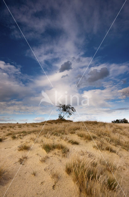 National Park Loonse en Drunense Duinen