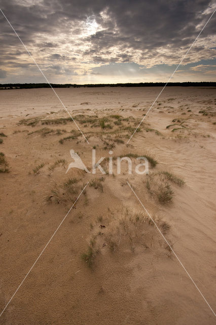 National Park Loonse en Drunense Duinen