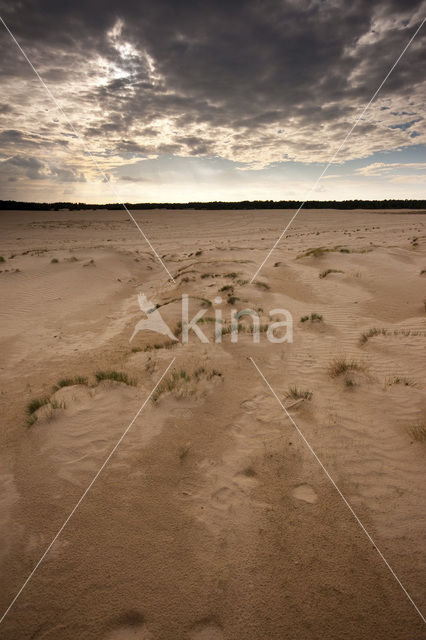 Nationaal Park Loonse en Drunense Duinen