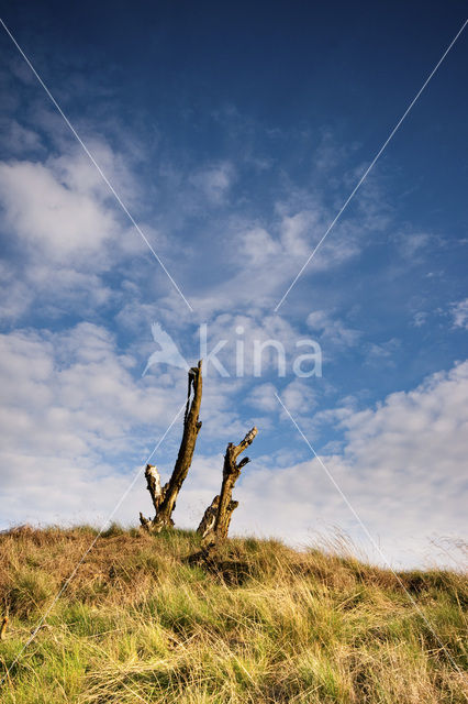 National Park Loonse en Drunense Duinen