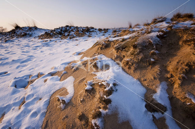 Nationaal Park Loonse en Drunense Duinen