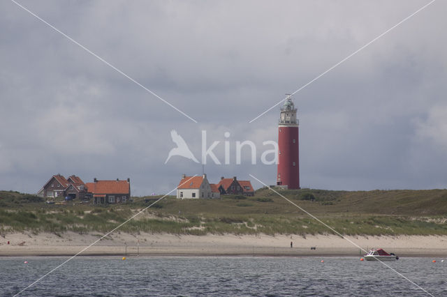 Texel