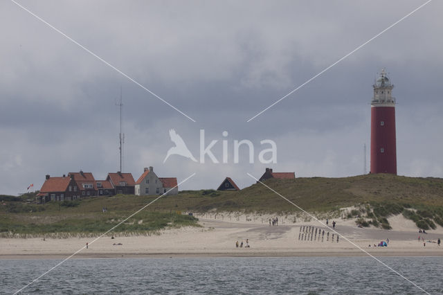 Texel