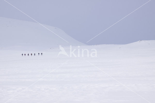 Hardangervidda National Park