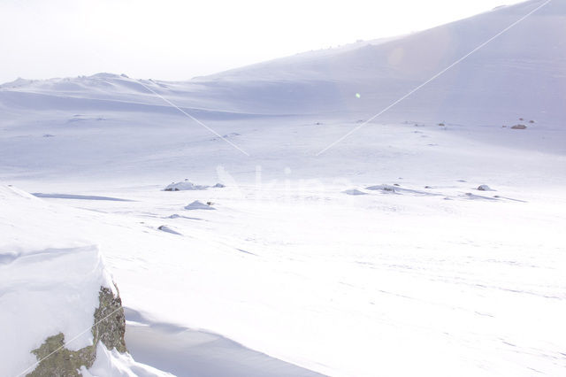 Hardangervidda National Park