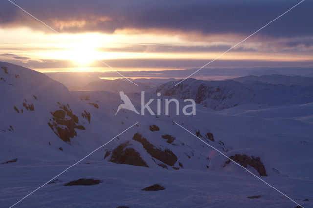 Hardangervidda National Park