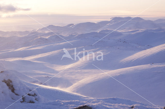 Hardangervidda National Park