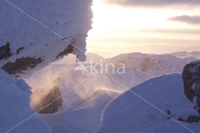 Hardangervidda National Park