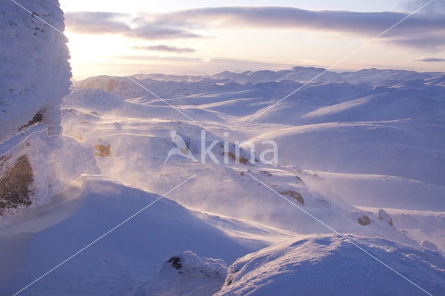 Hardangervidda National Park