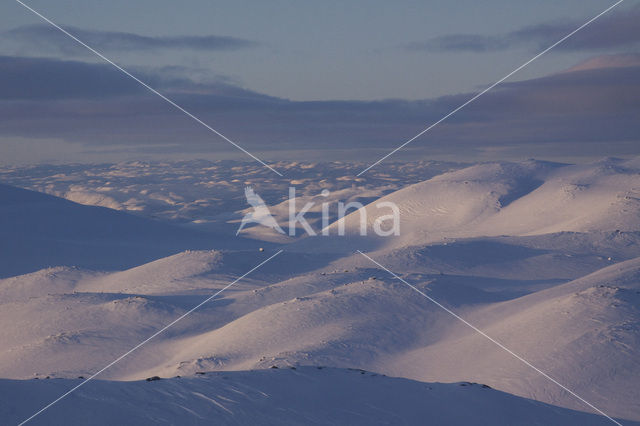 Hardangervidda National Park