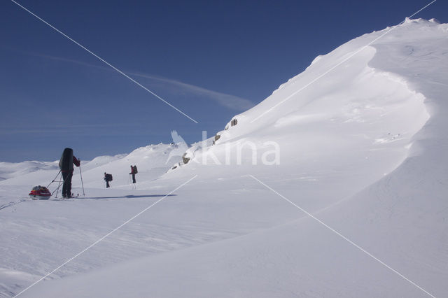 Hardangervidda National Park