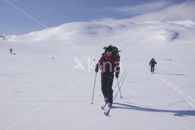 Hardangervidda National Park