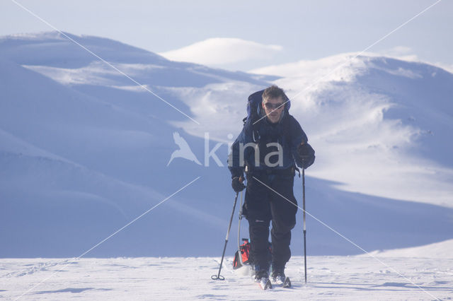 Hardangervidda National Park