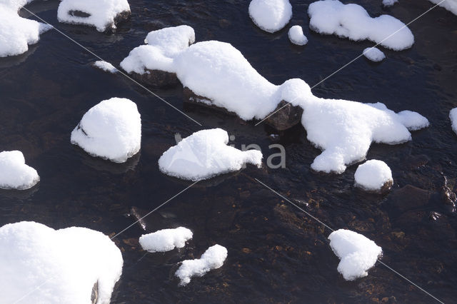 Hardangervidda National Park