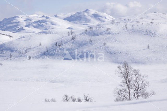 Hardangervidda National Park